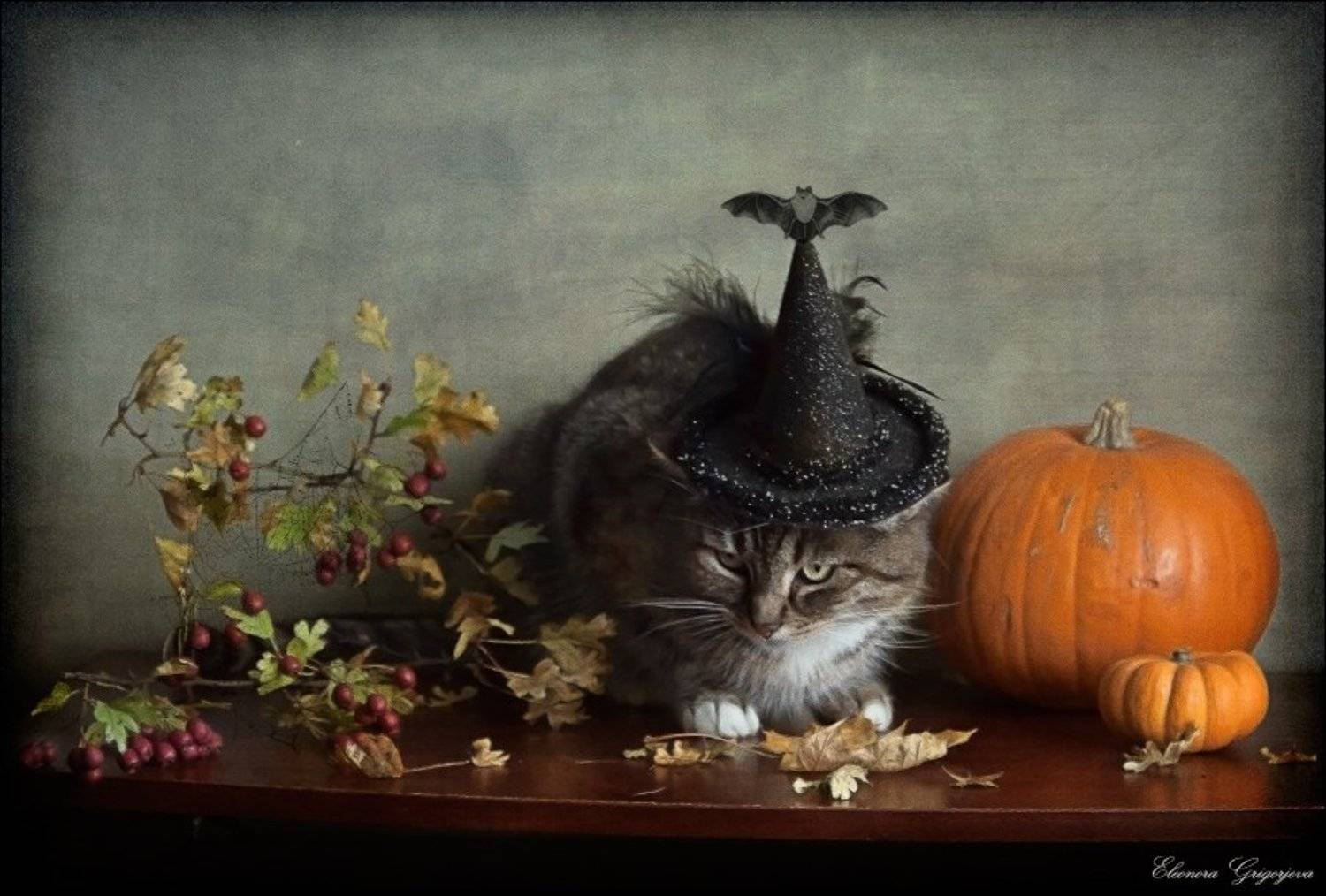 , Eleonora Grigorjeva