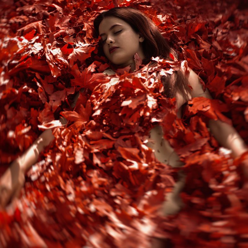 This Love фото превью