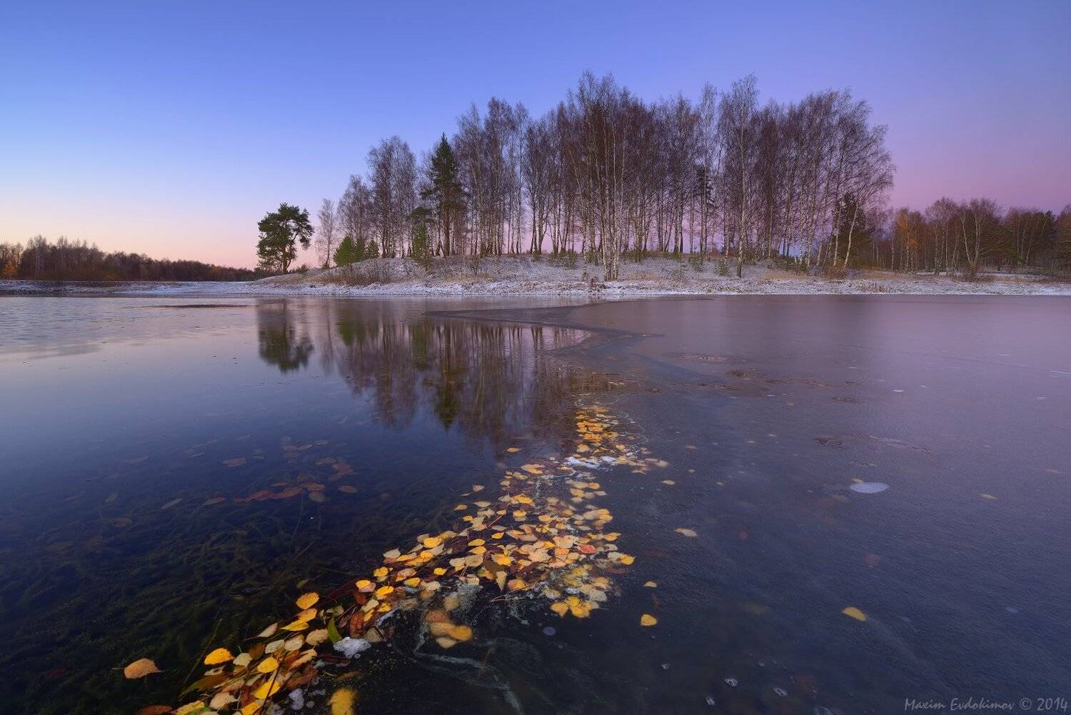 , Максим Евдокимов