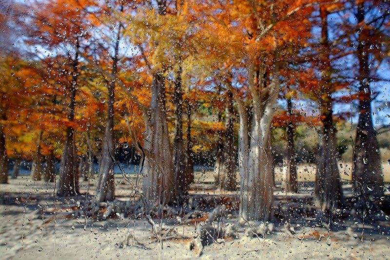 Солнечный дождь фото превью
