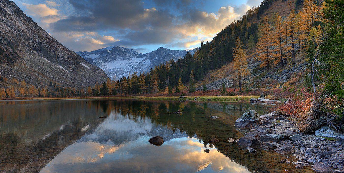 , Алексей Родак