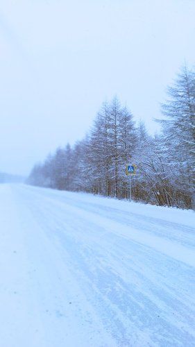 Переход в тайгу