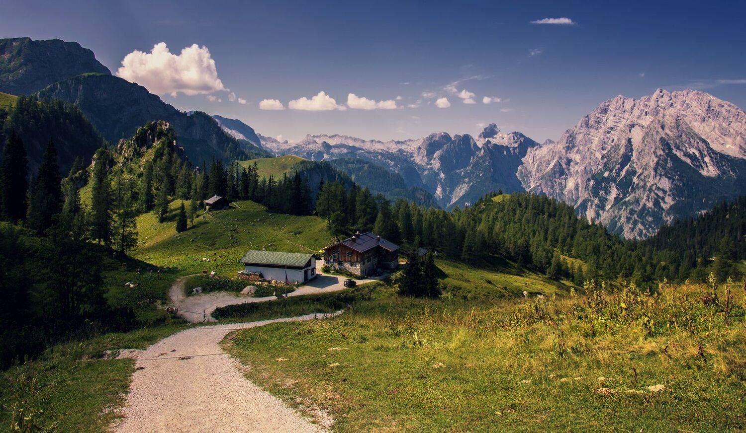 , Игорь Мелекесцев