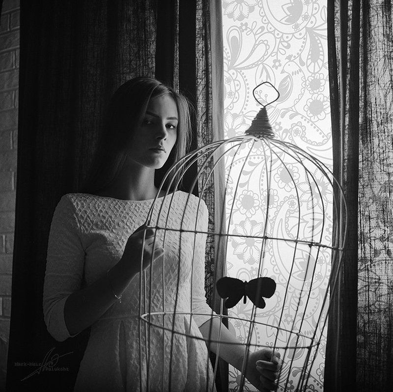 black butterfly фото превью