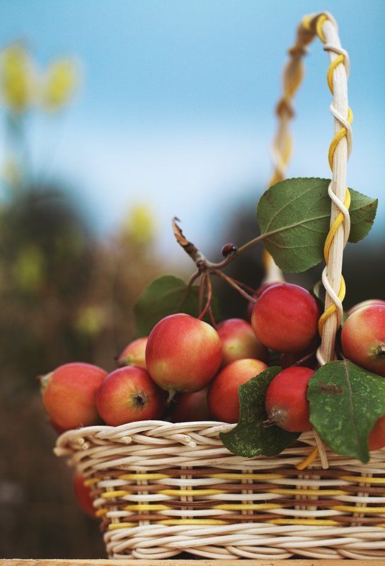 Happy apples фото превью
