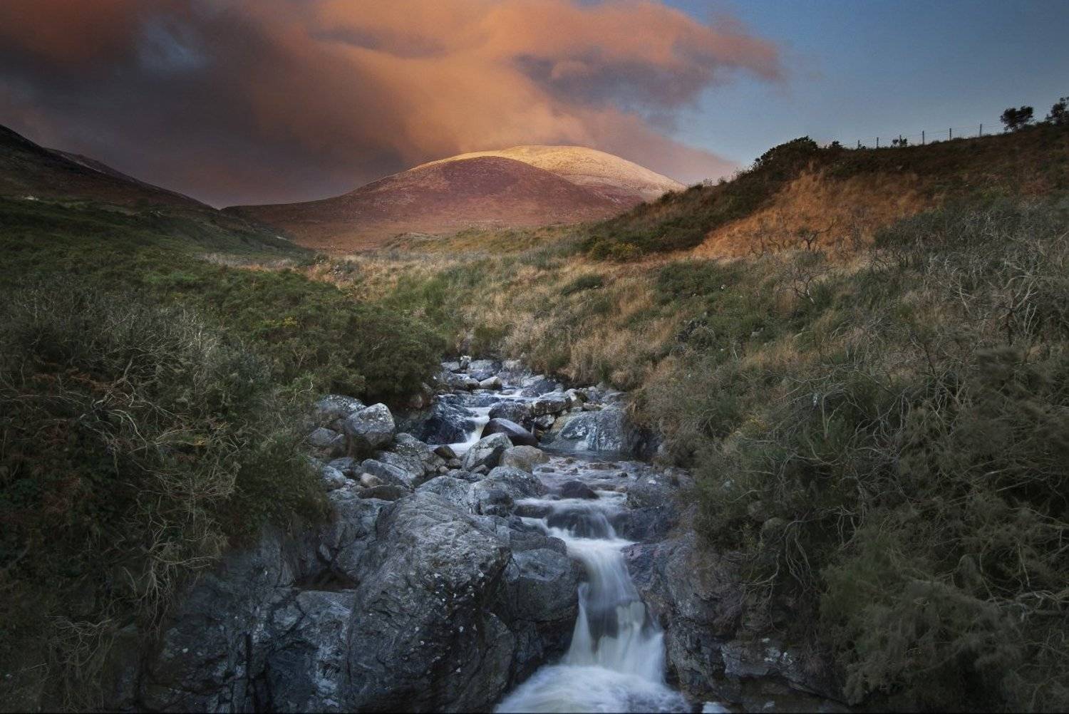 , Emilis Baltrusaitis