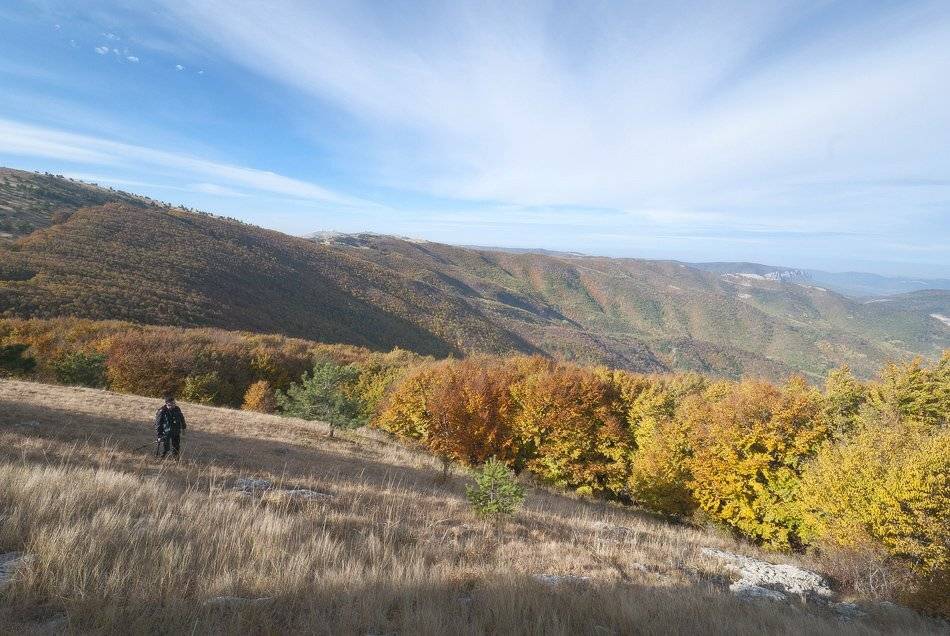 И уходить не хочется!. Автор: Саша Вайсберг / Waldschnepfe / , Саша Вайсберг / Waldschnepfe /