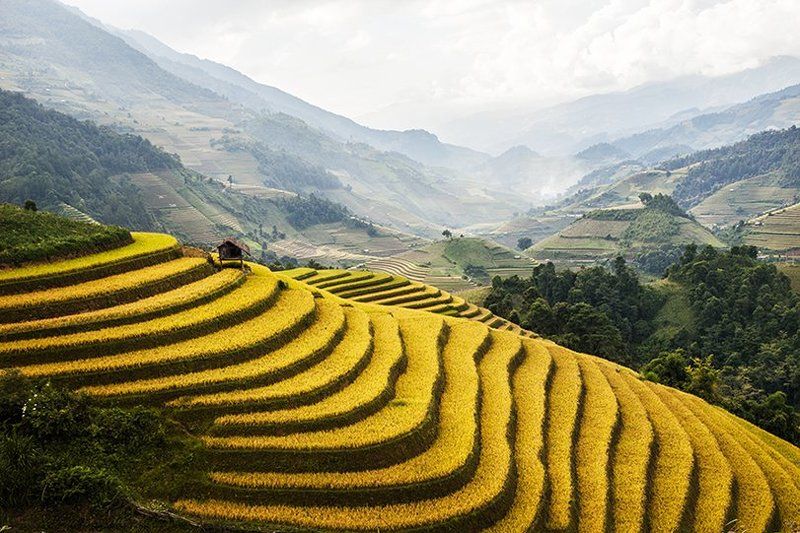 Mu Cang Chai in Vietnam фото превью