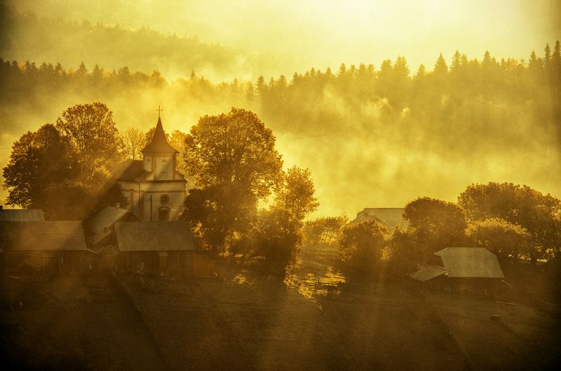 golden morning фото превью