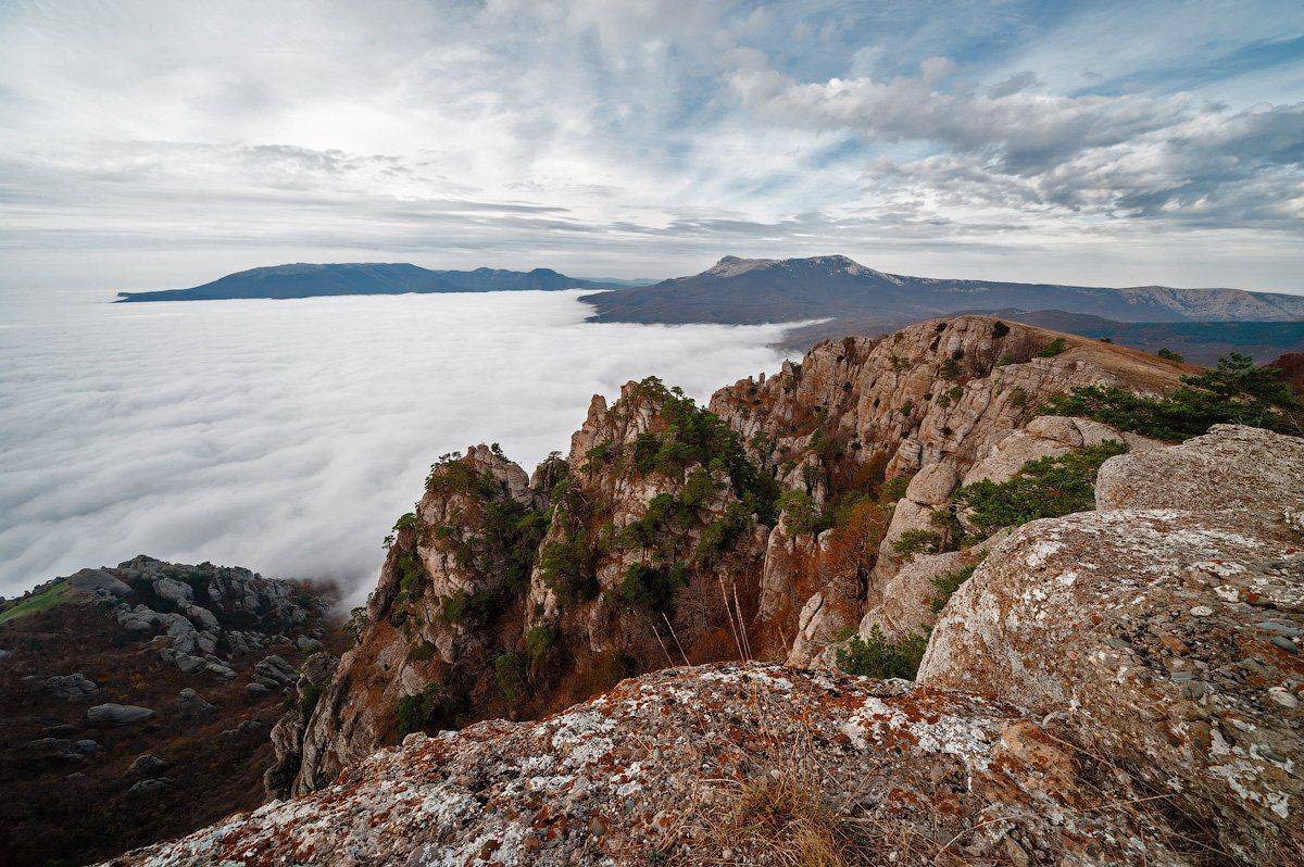 , Олег Логунов