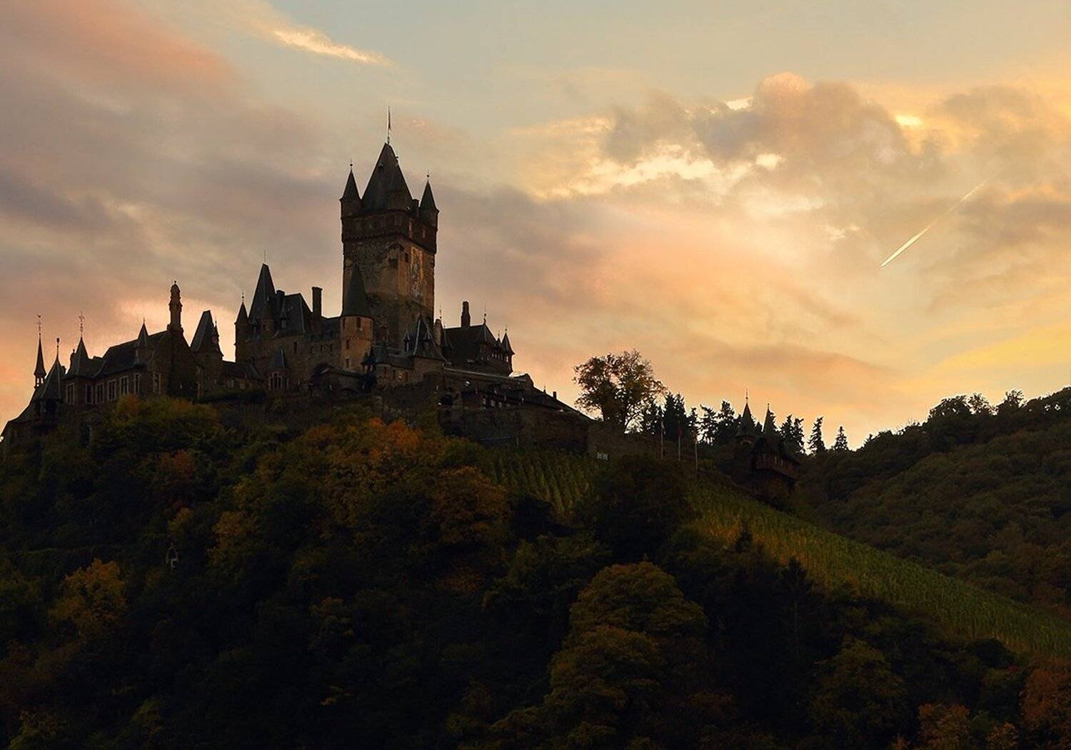 , Игорь Дубровский