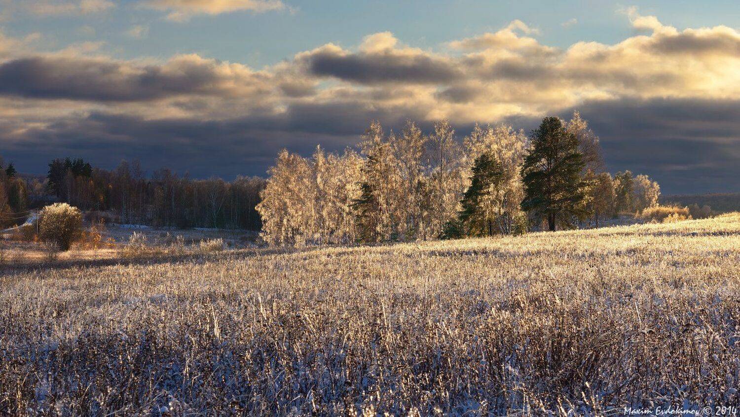 , Максим Евдокимов