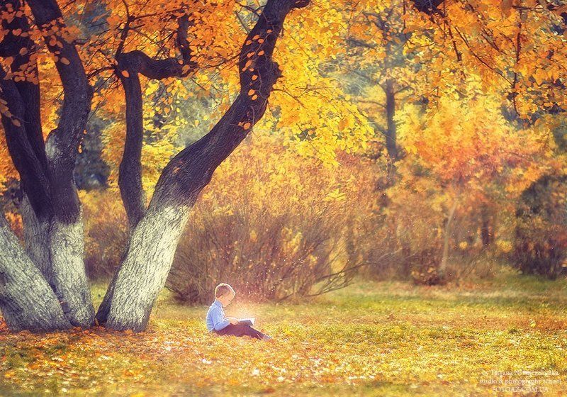 Сказки фото превью