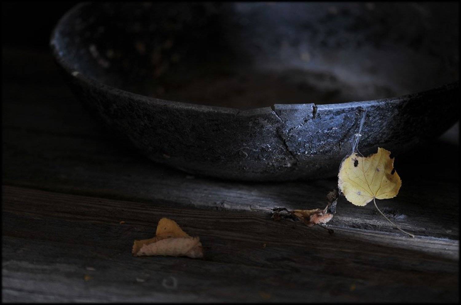 натюрморт, Елена Соловьёва