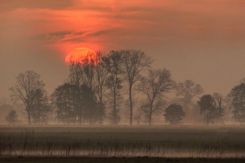 , Pawel Plucinski