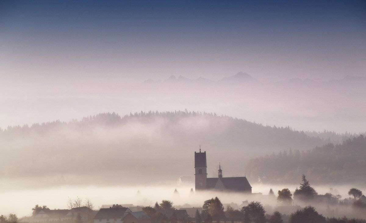 , Вейзе Максим