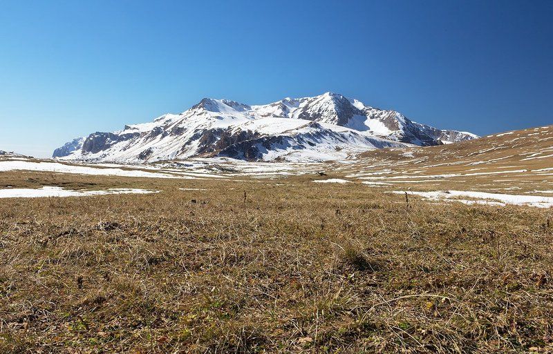 Оштен фото превью