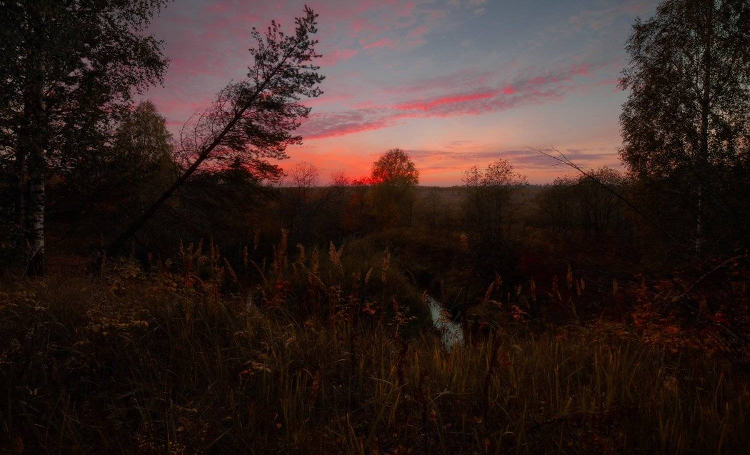 , Борис Богданов