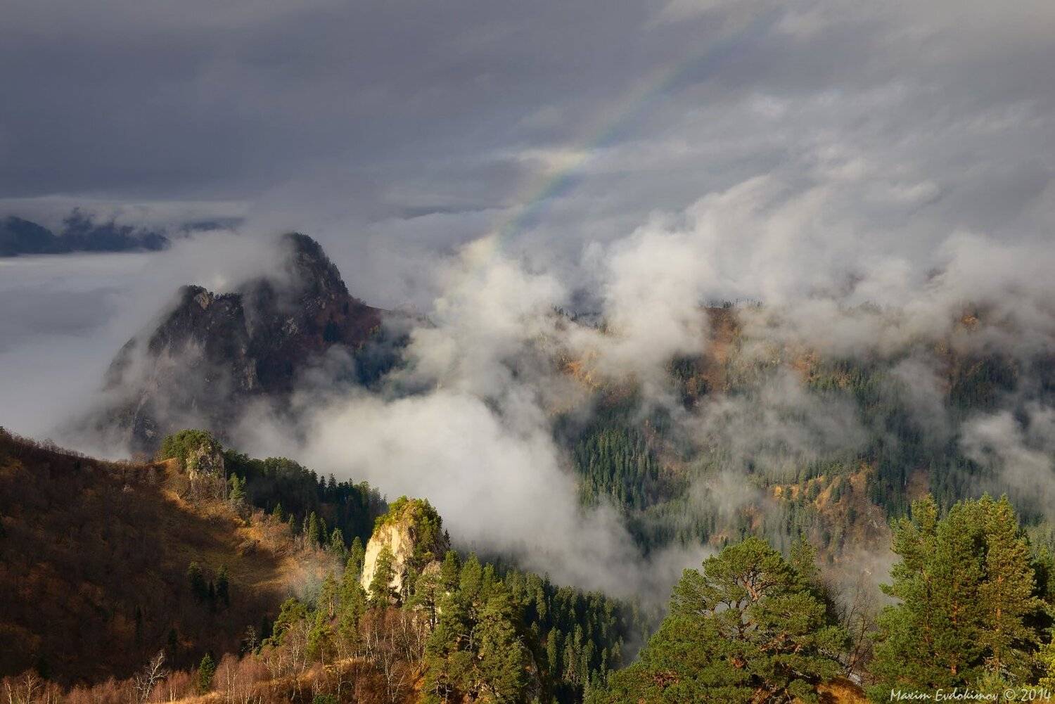 , Максим Евдокимов