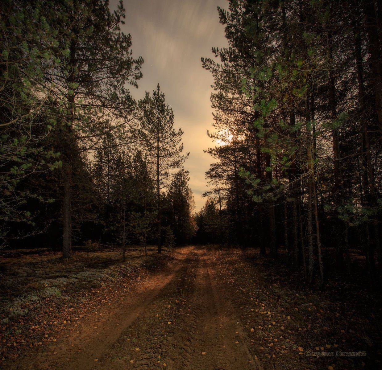 , Хохряков Николай