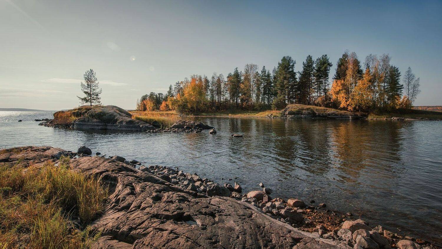 , Владимир Липецких