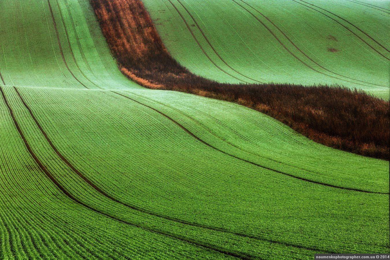 чехия, волны, каплычка, осень, пейзаж, поле, южная моравия, Александр Науменко