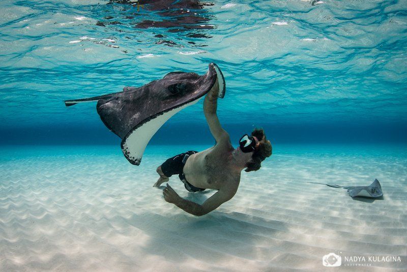 Playing with Rays фото превью