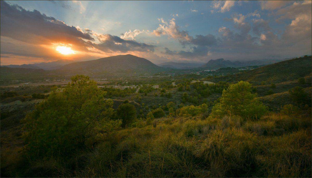 , Александр Гусаков