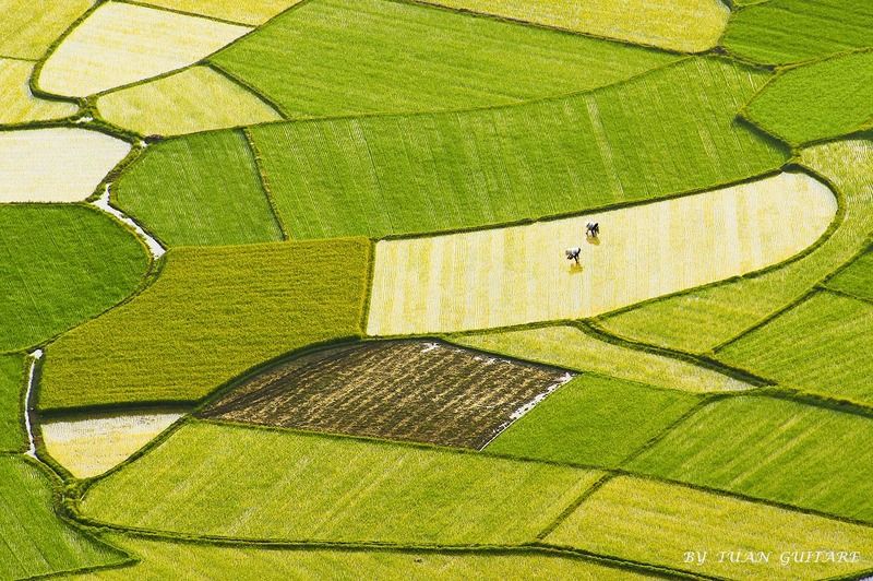 Vào vụ mới фото превью