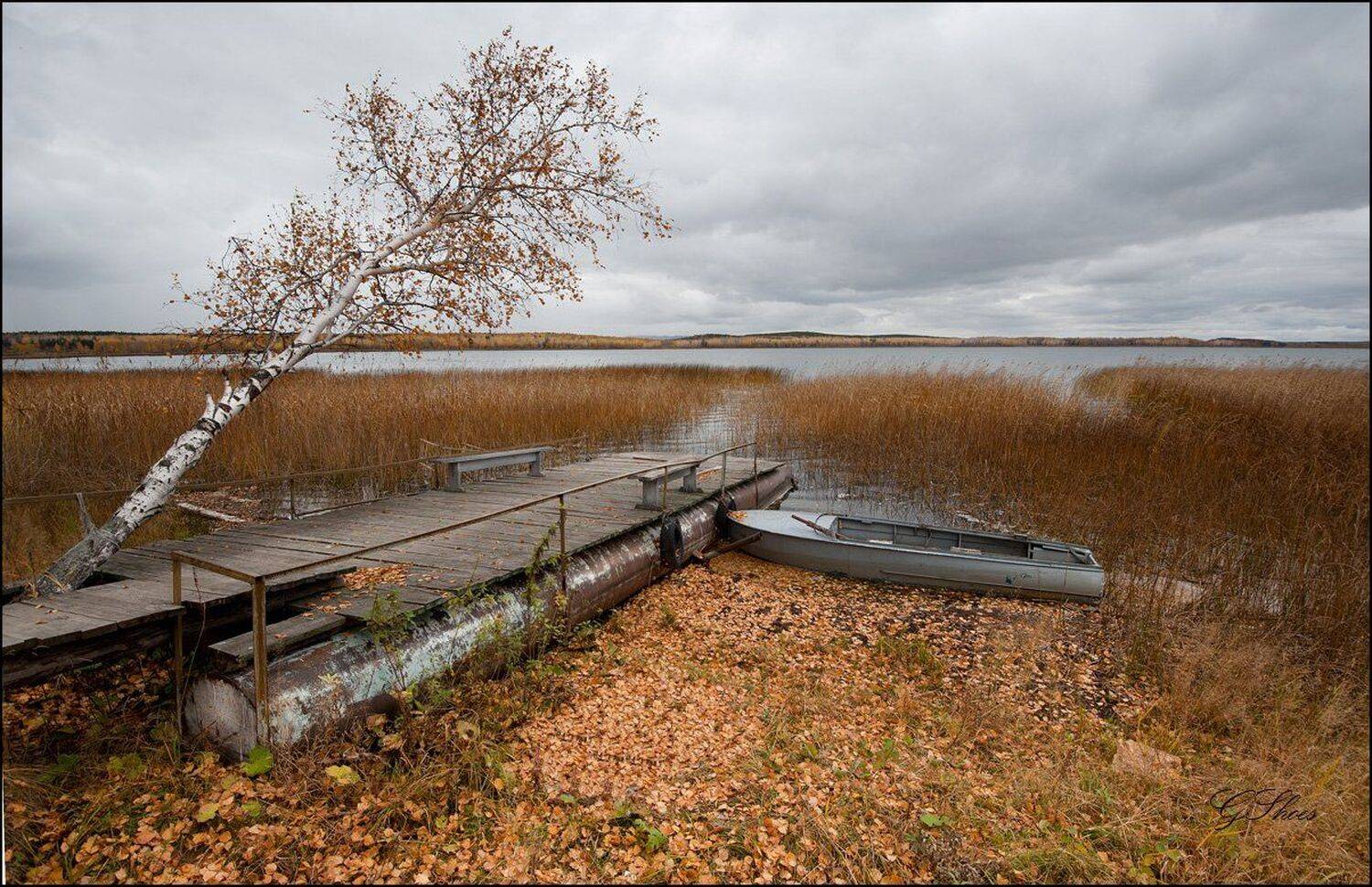 , Георгий Сапожников