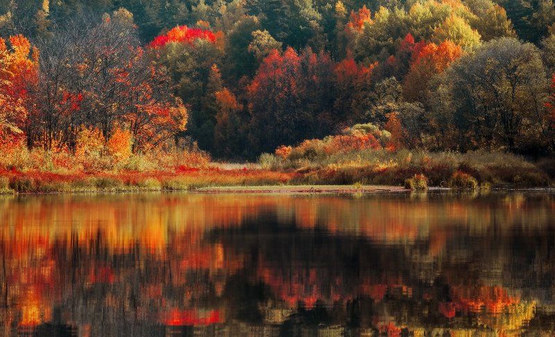 Кострома, Осень, Р. Тоехта, Сентябрь Зеркало осени фото превью