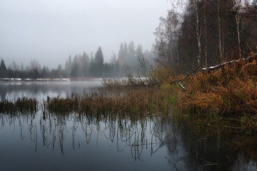 В мареве осеннем