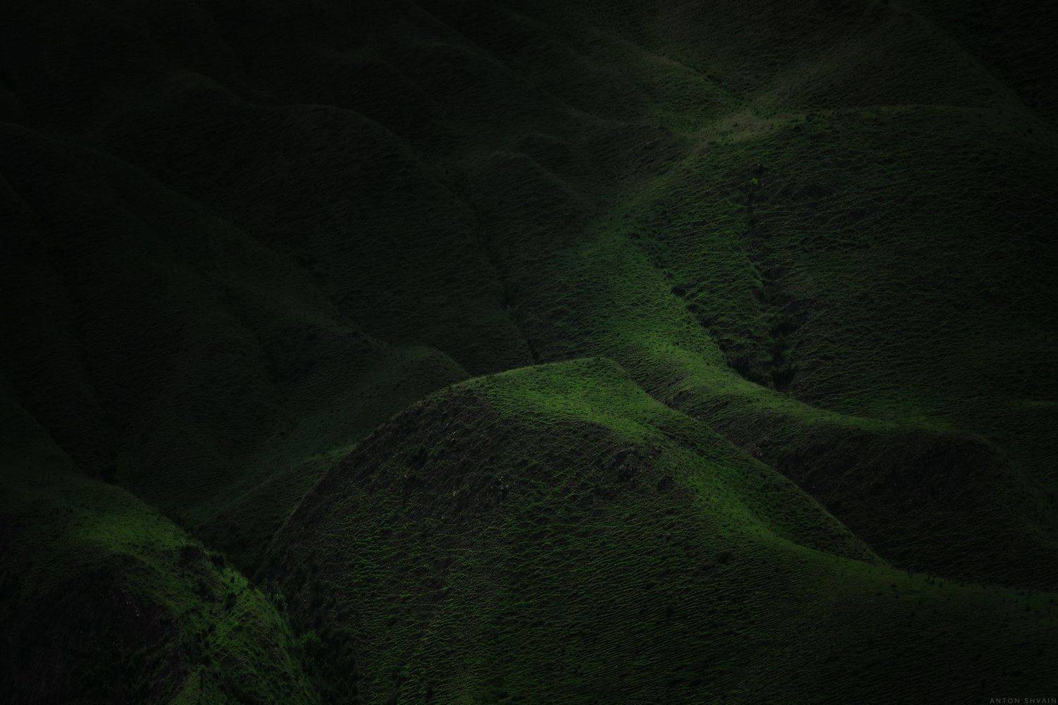 , Антон Шваин