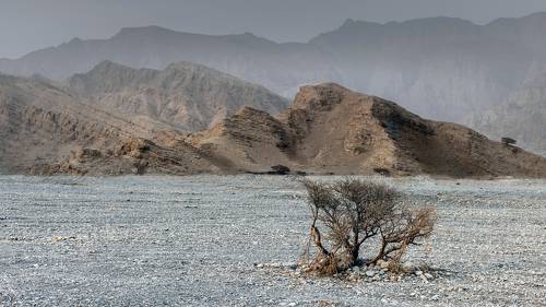 Ras Al Khaima desert, UAE