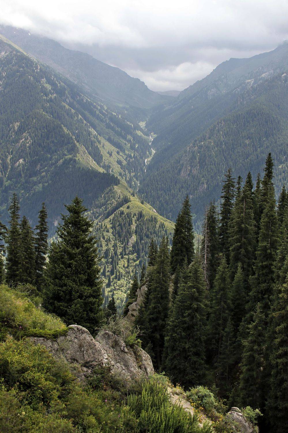 талгарское ущелье, Sergio