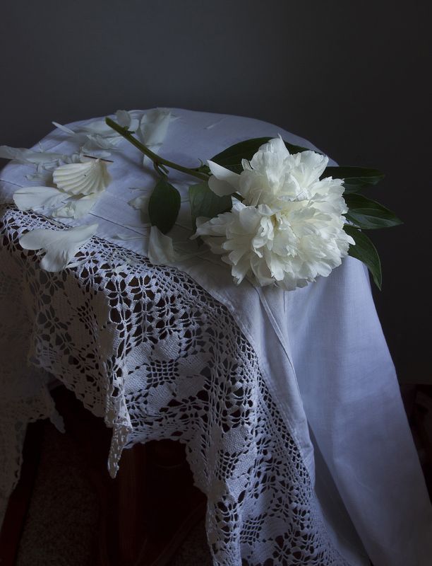 Роняя лепестки фото превью