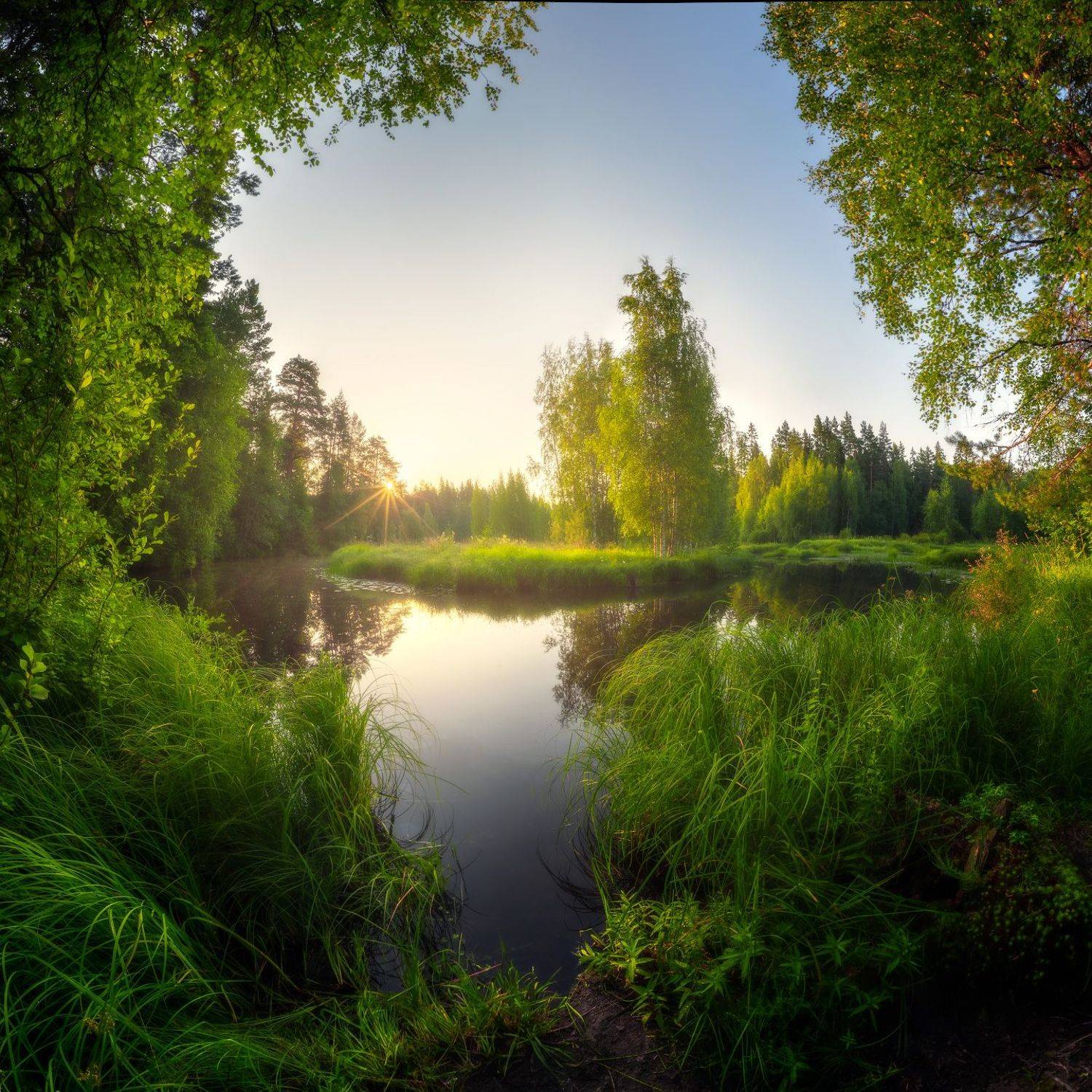 ленобласть, речка, восход, Марголин Алексей