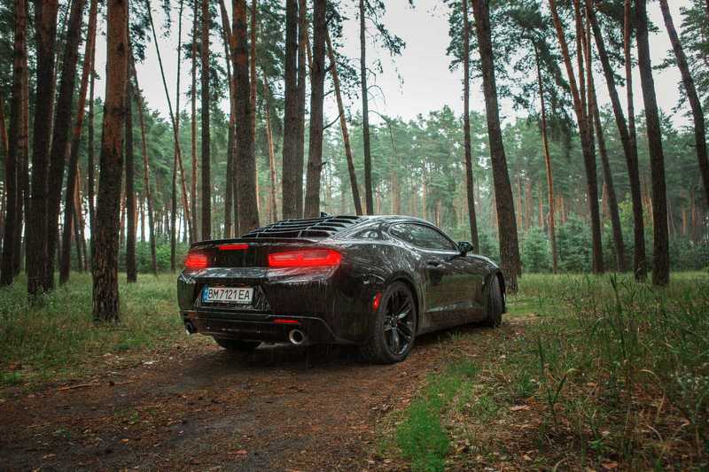 ... фото превью