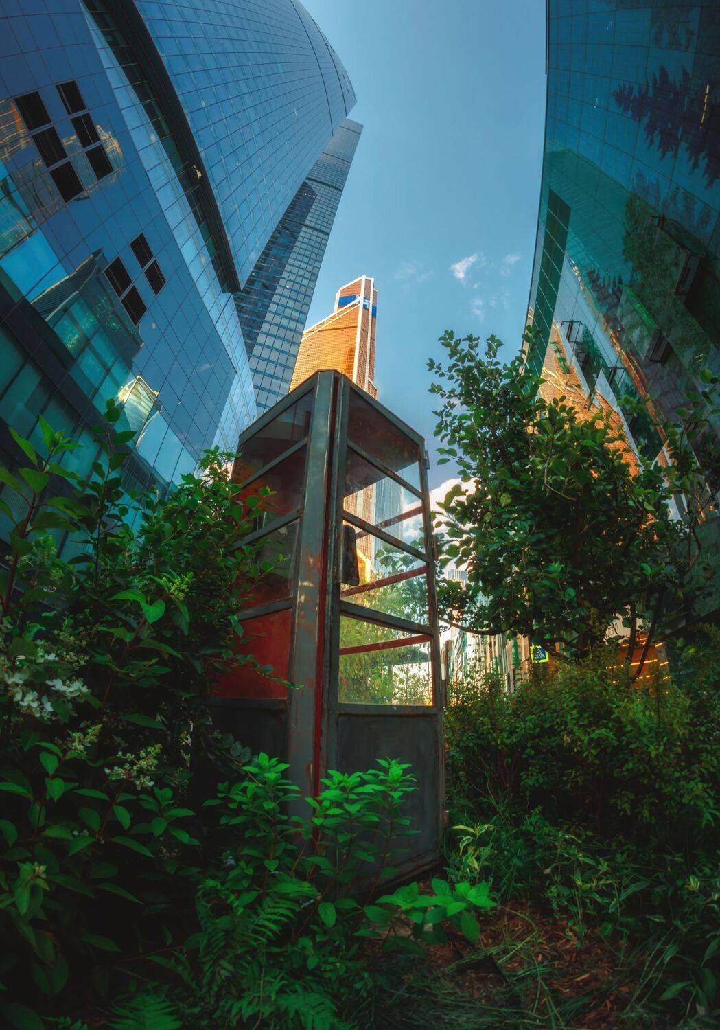 , Котов Андрей