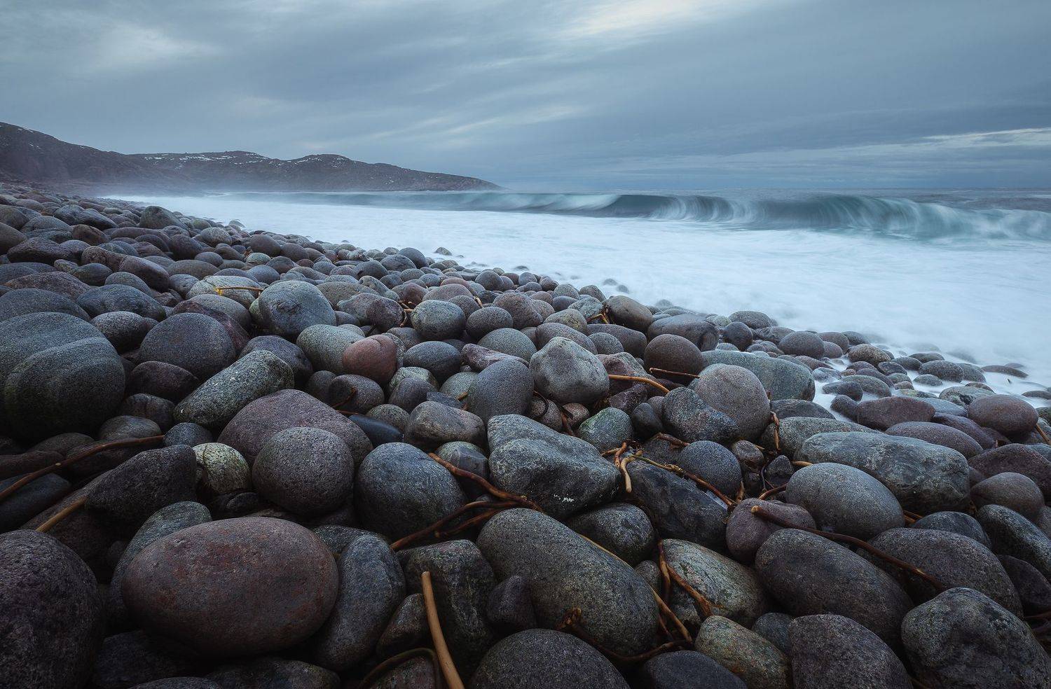 Кольский полуостров, Териберка, Писарев Александр