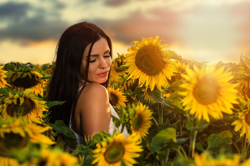 Natalia, sunflowers & sunset фото превью