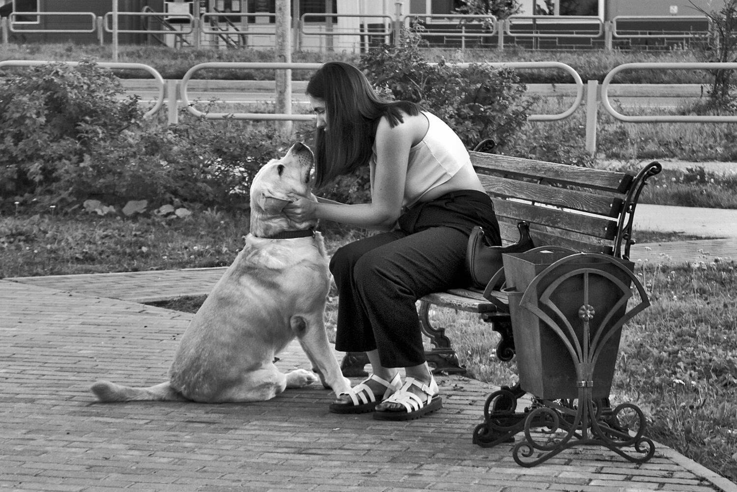 собака, девушка, скамейка, лето, апатиты, Николай Смоляк