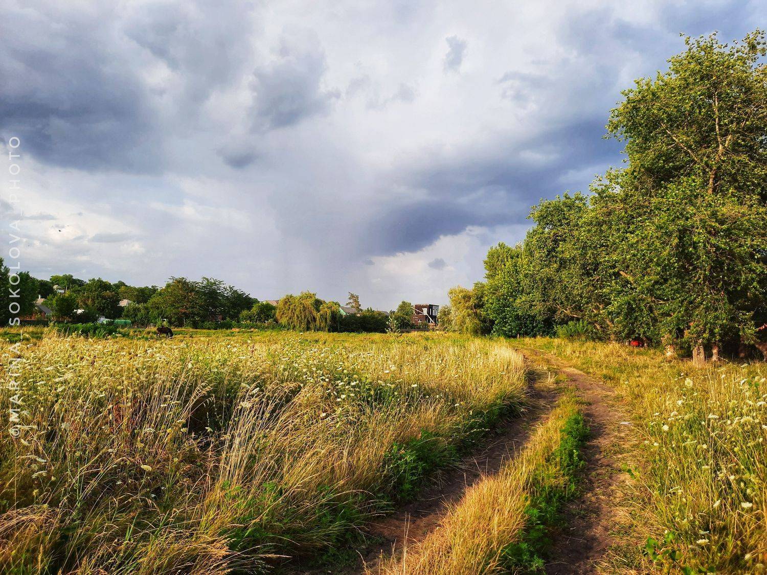 пейзаж,облака,природа, Марина Соколова