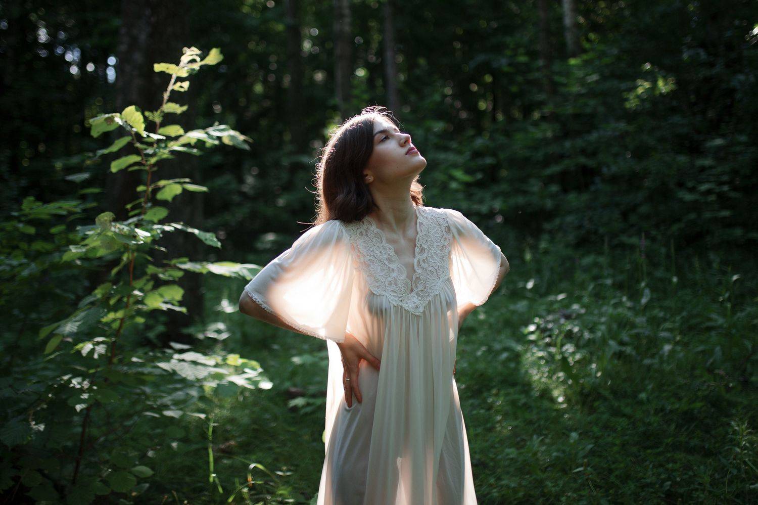 , Дмитрий Плеханов