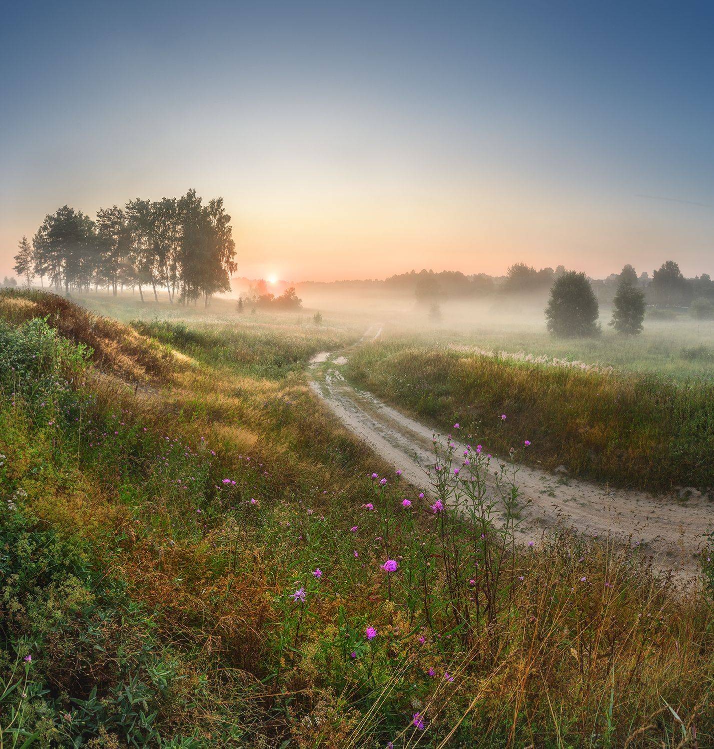 , Николай Андреев