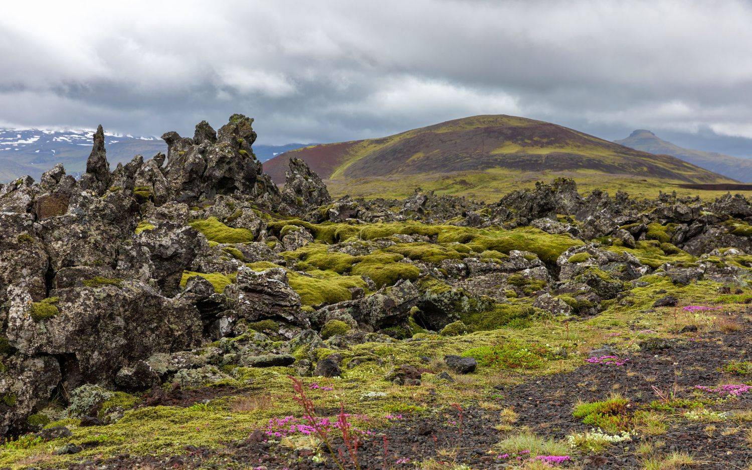 , Евгения Чех