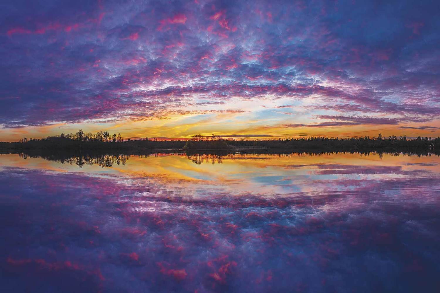 , Напалкин Станислав