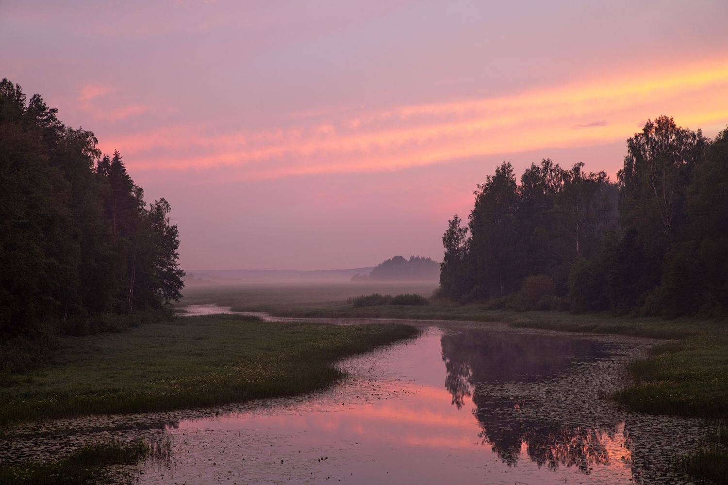 закат, Герасимова Елена