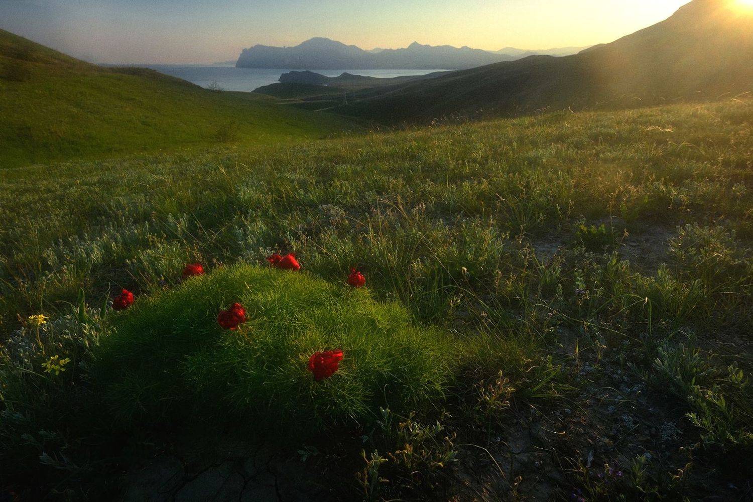 , Алексей Никонов
