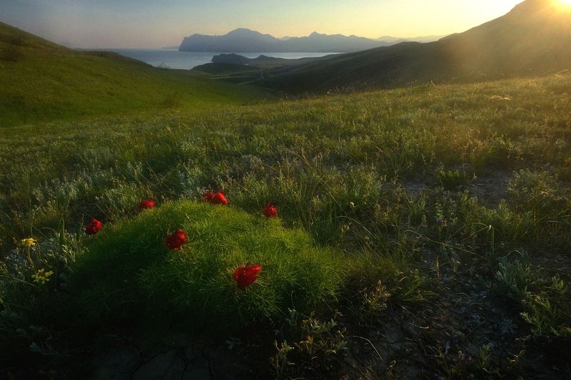 фото превью